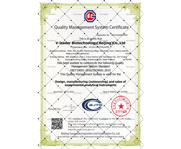 质量管理体系证书 英文版