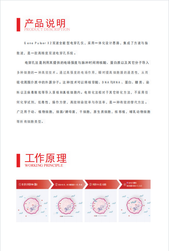 1750034145156580.jpg 威尼德Vleader Gene Pulser X2 电穿孔仪 正面展示,多模式智能控制面板