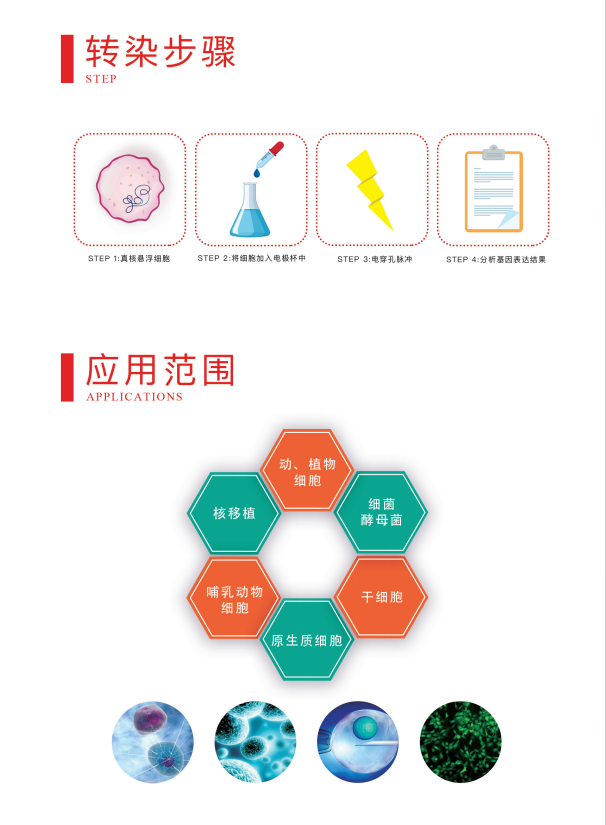 1750034145779084.jpg 威尼德Vleader Gene Pulser X2 电穿孔仪 实验操作演示,适用于基因编辑与蛋白研究