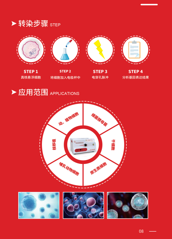 1750034222194109.jpg 威尼德 Mini Pulser 399 电穿孔仪 触控屏界面,实时显示波形与参数