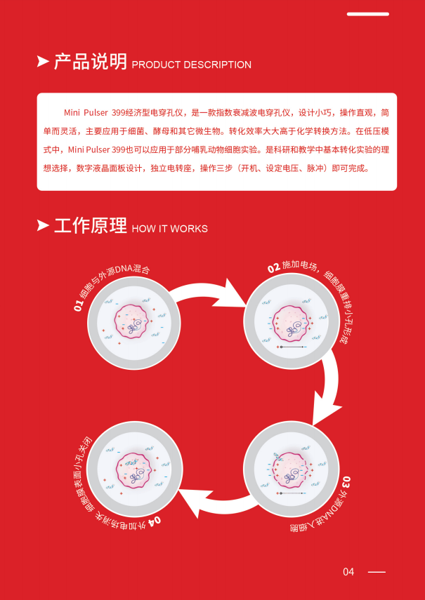 1750034222935019.jpg 威尼德 Mini Pulser 399 电穿孔仪 正面展示,紧凑设计适合实验室操作