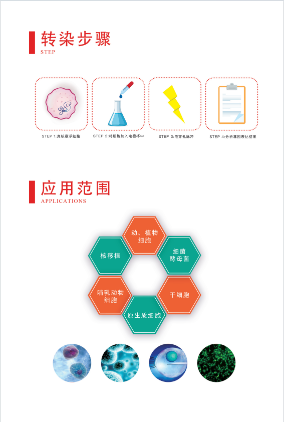 1750034277373073.jpg 威尼德 Gene Pulser 830 方波电穿孔仪 实验操作演示,适用于基因编辑与蛋白功能研究