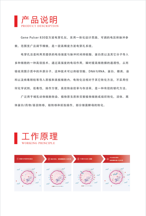 1750034277672065.jpg 威尼德 Gene Pulser 830 方波电穿孔仪 正面展示,紧凑设计适合实验室操作