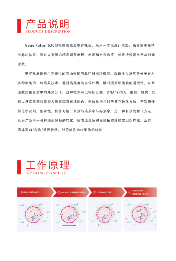 1750034343207029.jpg 威尼德 Gene Pulser 630 电穿孔仪 正面展示,紧凑设计适合实验室操作