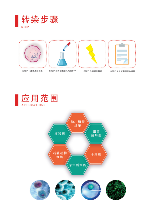 1750034343338311.jpg 威尼德 Gene Pulser 630 电穿孔仪 侧面展示,多模式智能控制设计