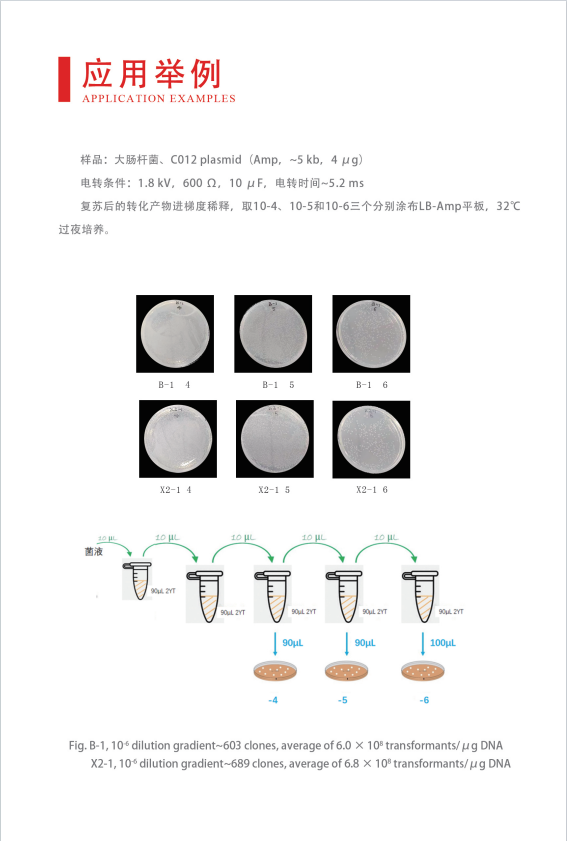 1750034343874247.jpg 威尼德 Gene Pulser 630 电穿孔仪 触控屏界面,实时显示波形与脉冲参数